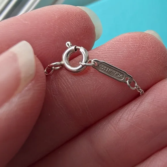 Tiffany & Co. 1837 Small Sterling Silver Interlocking Circles Necklace - Picture 13 of 14